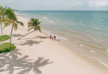 Khi cánh chuồn chuồn gọi mùa hè về