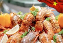 Đà Nẵng rực rỡ trước thềm Lễ hội: Furama Resort khai mở hành trình trải nghiệm đa sắc màu